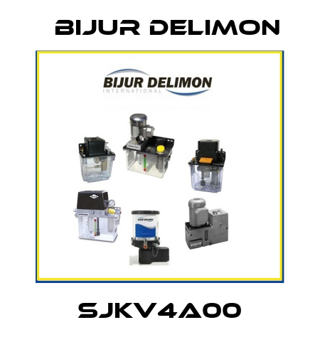 SJKV4A00 Bijur Delimon