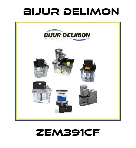 ZEM391CF Bijur Delimon