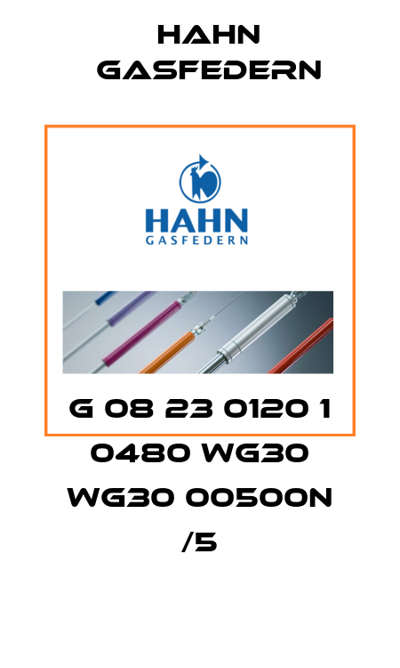 G 08 23 0120 1 0480 WG30 WG30 00500N /5 Hahn Gasfedern