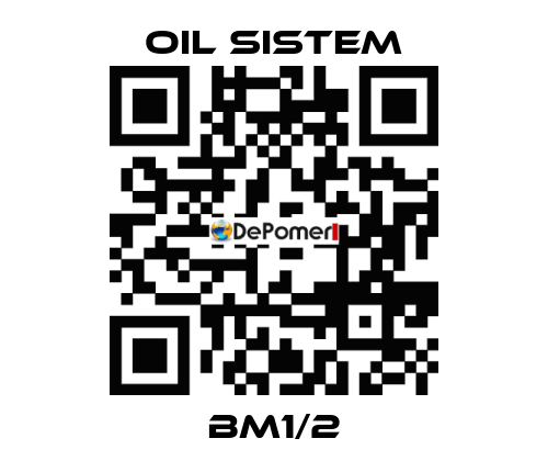 BM1/2 Oil Sistem