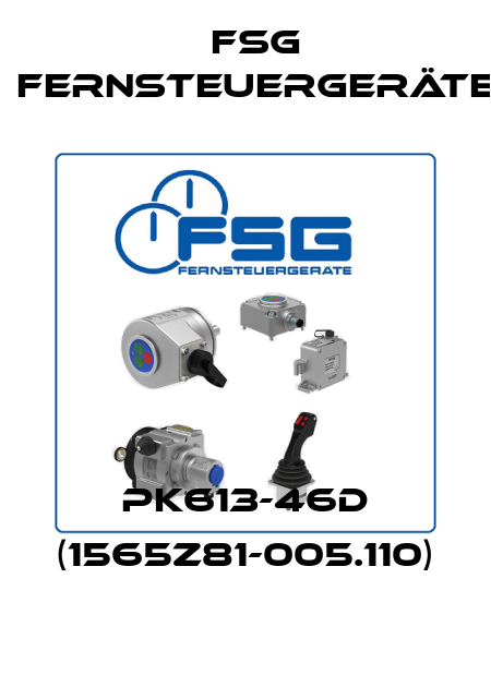 PK613-46d (1565Z81-005.110) FSG Fernsteuergeräte