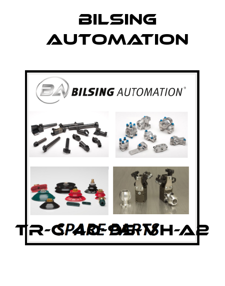 TR-C-40-95-VH-A2 Bilsing Automation