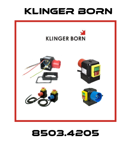 8503.4205 Klinger Born