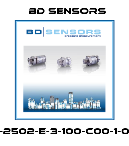 110-2502-E-3-100-C00-1-006 Bd Sensors