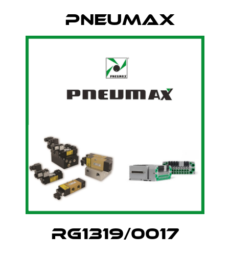 RG1319/0017 Pneumax