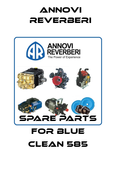 spare parts for BLUE CLEAN 585 Annovi Reverberi