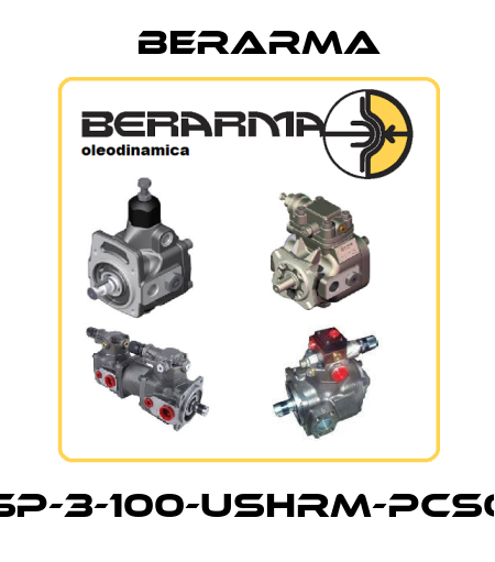 Q2-PSP-3-100-USHRM-PCS003-Q Berarma