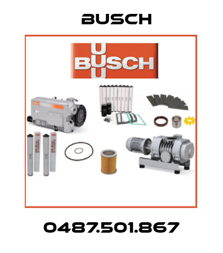 0487.501.867 Busch