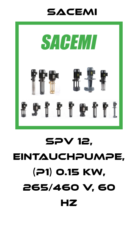 SPV 12, Eintauchpumpe, (P1) 0.15 kW, 265/460 V, 60 Hz Sacemi