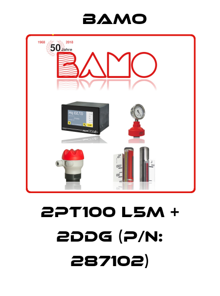 2PT100 L5m + 2DDG (P/N: 287102) Bamo