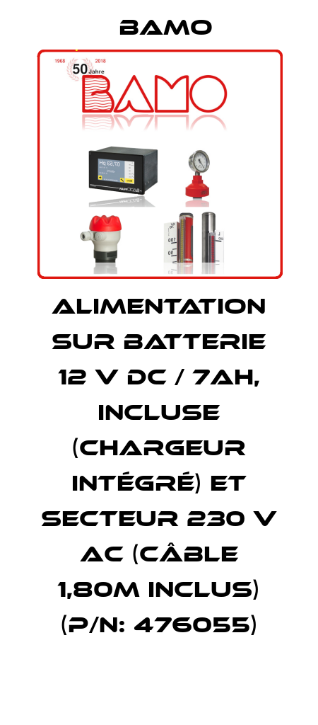 Alimentation sur batterie 12 V DC / 7Ah, incluse (chargeur intégré) et secteur 230 V AC (câble 1,80m inclus) (P/N: 476055) Bamo