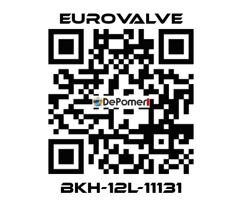 BKH-12L-11131 Eurovalve