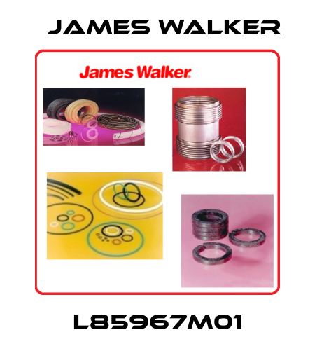 L85967M01 James Walker