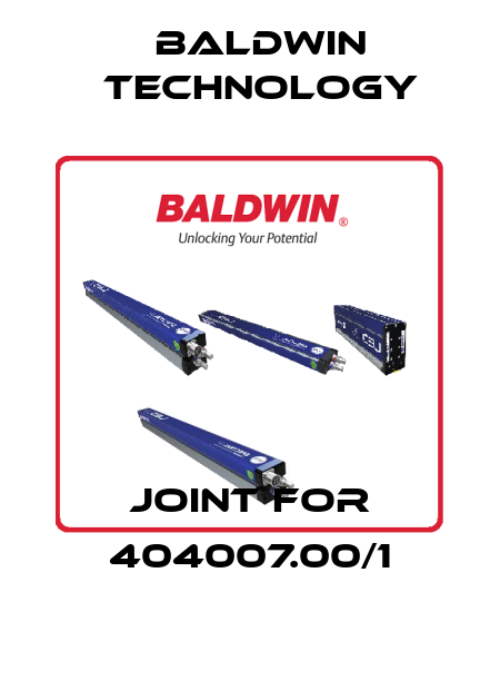Joint for 404007.00/1 Baldwin Technology