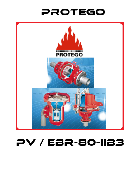 PV / EBR-80-IIB3  Protego