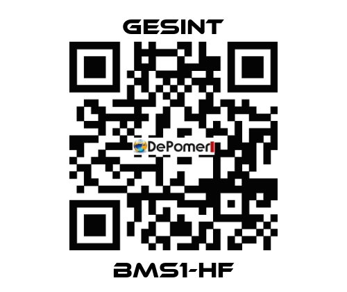 BMS1-HF Gesint