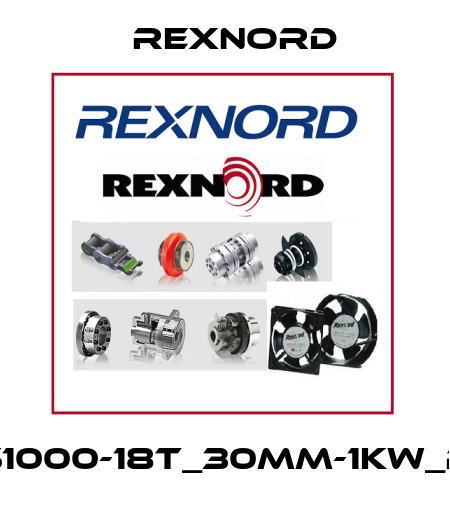 NS1000-18T_30MM-1KW_PA Rexnord