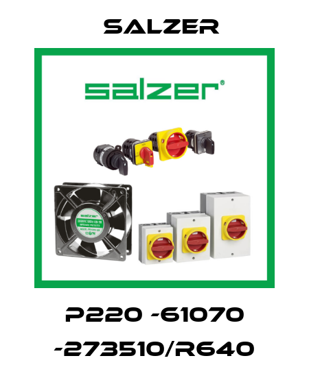 P220 -61070 -273510/R640 Salzer