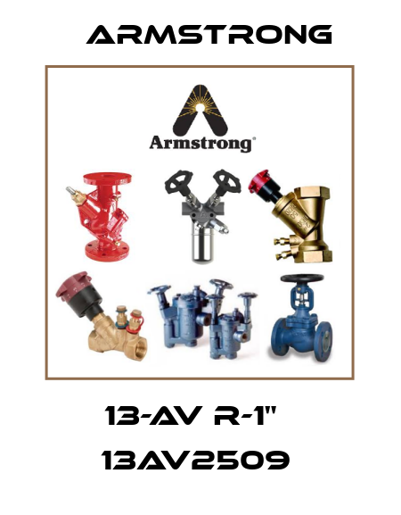 13-AV R-1"   13AV2509  Armstrong