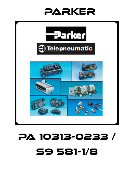PA 10313-0233 / S9 581-1/8 Parker
