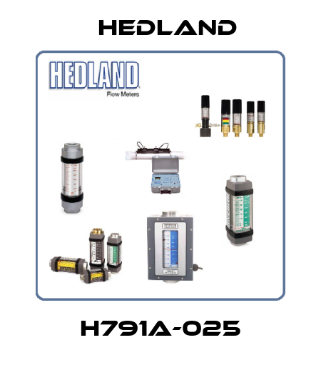 H791A-025 Hedland
