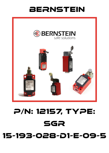P/N: 12157, Type: SGR 15-193-028-D1-E-09-5 Bernstein