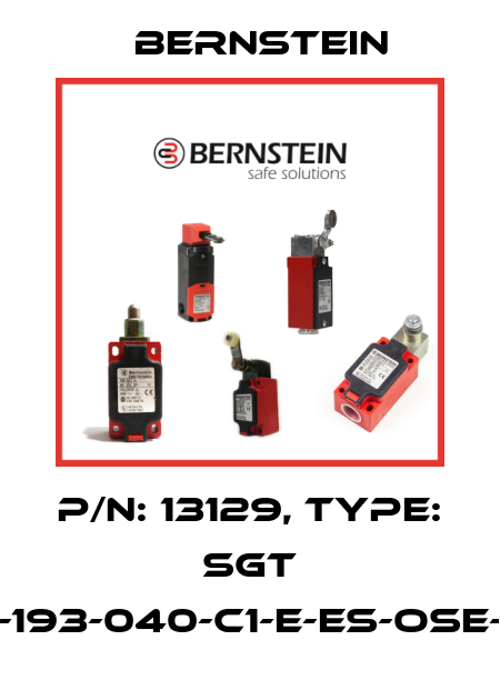 P/N: 13129, Type: SGT 15-193-040-C1-E-ES-OSE-15 Bernstein