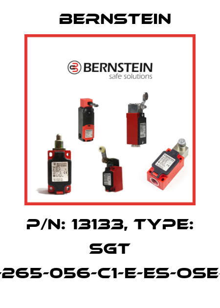 P/N: 13133, Type: SGT 15-265-056-C1-E-ES-OSE-15 Bernstein