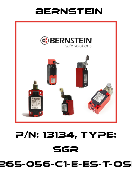P/N: 13134, Type: SGR 15-265-056-C1-E-ES-T-OSE-5 Bernstein