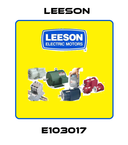 E103017 Leeson
