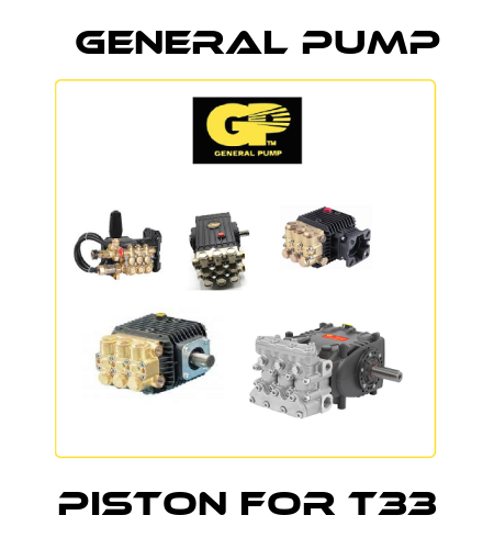 Piston For T33 General Pump
