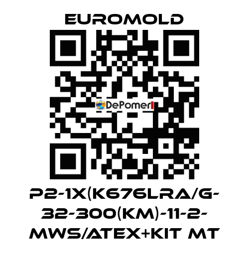 P2-1x(K676LRA/G- 32-300(KM)-11-2- MWS/ATEX+KIT MT EUROMOLD