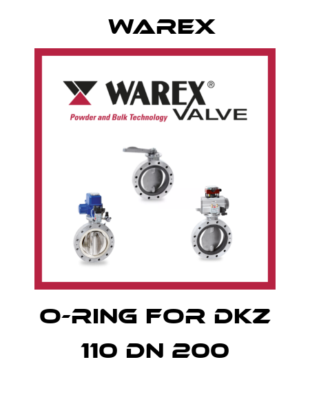 O-Ring for DKZ 110 DN 200 Warex