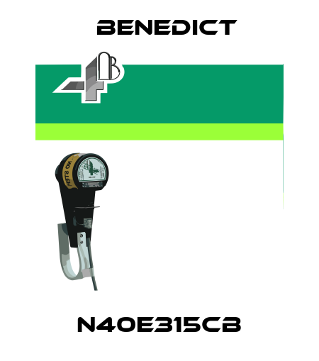 N40E315CB Benedict