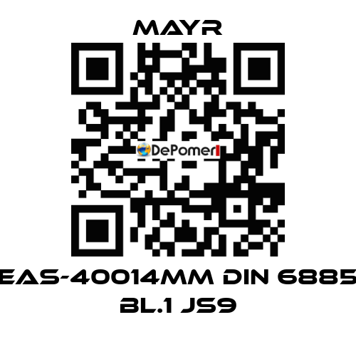 EAS-40014MM DIN 6885 BL.1 JS9 Mayr