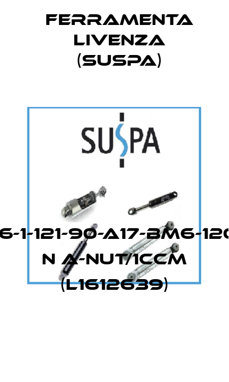 16-1-121-90-A17-BM6-120 N A-Nut/1ccm (L1612639) Suspa