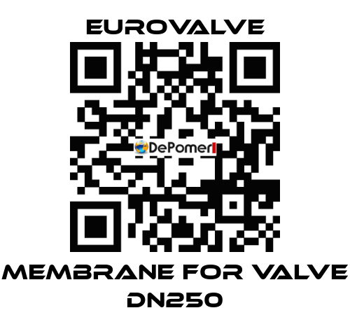 membrane for valve DN250 Eurovalve