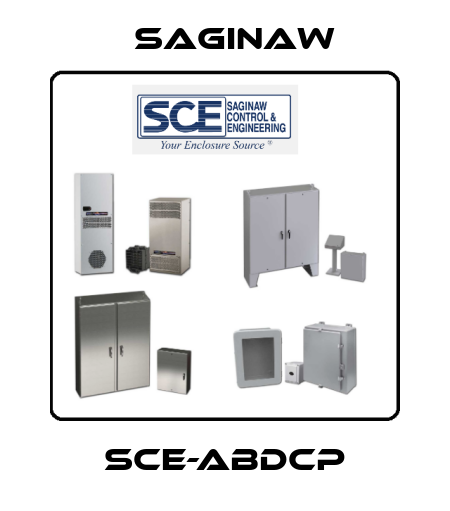 SCE-ABDCP Saginaw
