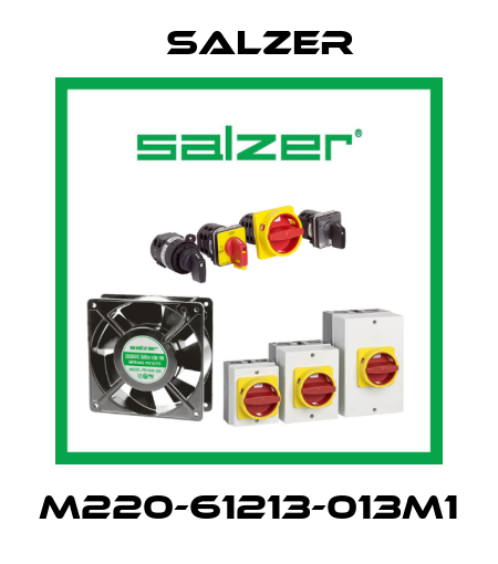 M220-61213-013M1 Salzer
