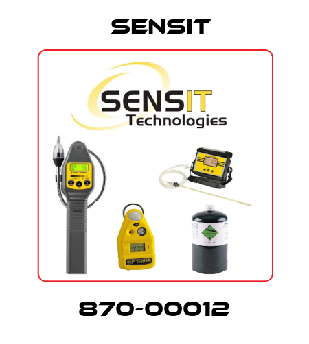 870-00012 Sensit