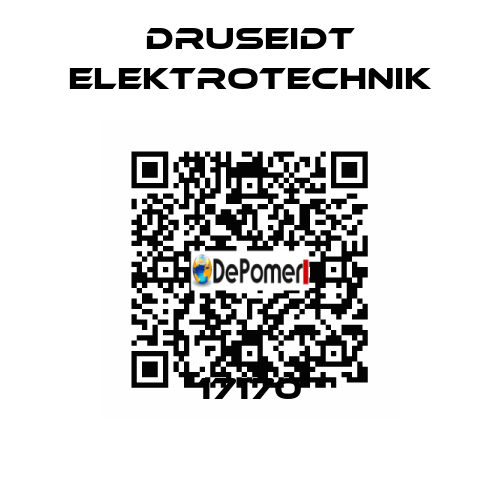 17170 druseidt Elektrotechnik