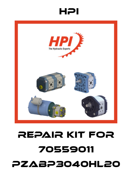 Repair kit for 70559011 PZABP3040HL20 HPI