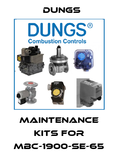 maintenance kits for MBC-1900-SE-65 Dungs