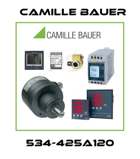 534-425A120 Camille Bauer