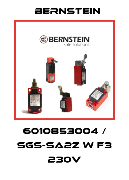 6010853004 / SGS-SA2Z W F3 230V Bernstein