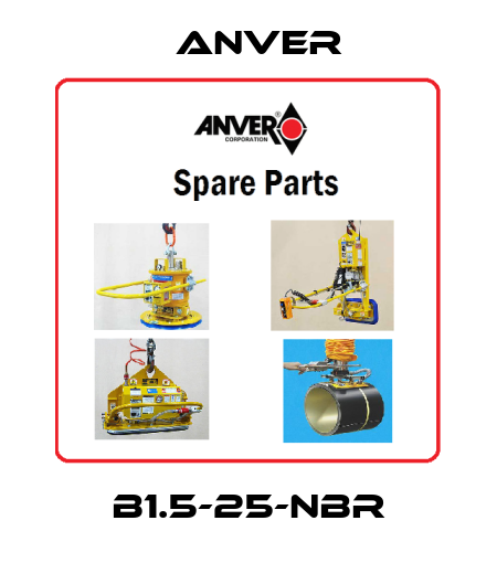 B1.5-25-NBR Anver