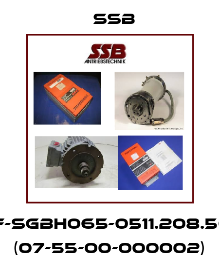 DSF-SgBH065-0511.208.50.K1 (07-55-00-000002) SSB