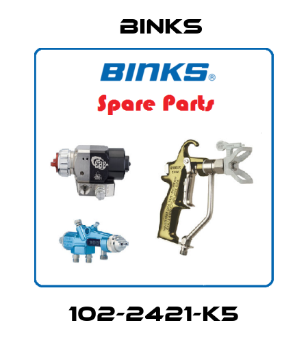 102-2421-K5 Binks