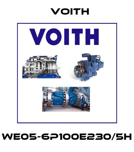 WE05-6P100E230/5H Voith