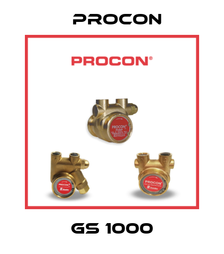 GS 1000 Procon